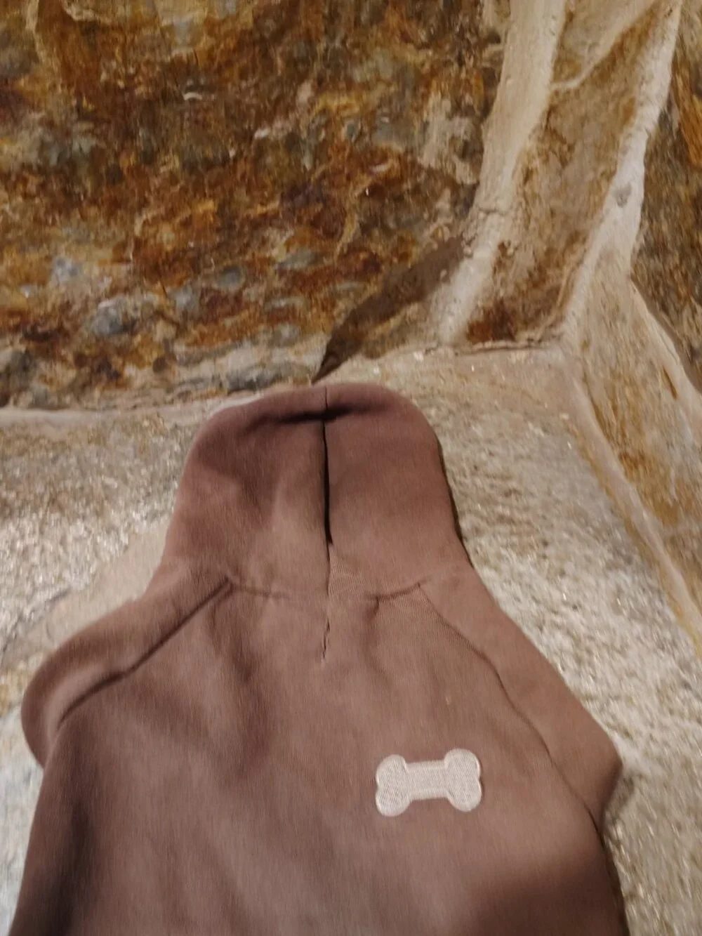 Pup Crew Dog Cat Pet Chocolate Brown Hoodie Size Medium Bone